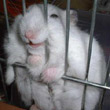 Фотография Archah
