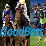 Фотография Goodbets